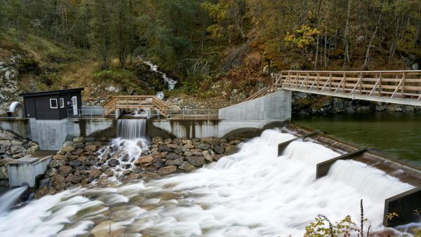 Desarrollo Sostenible y Gestión Ambiental